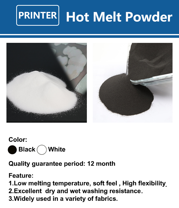 1000g 1kg DTF powder Fine powd - Dtf Printer Machine บทวิจารณ์และราคา